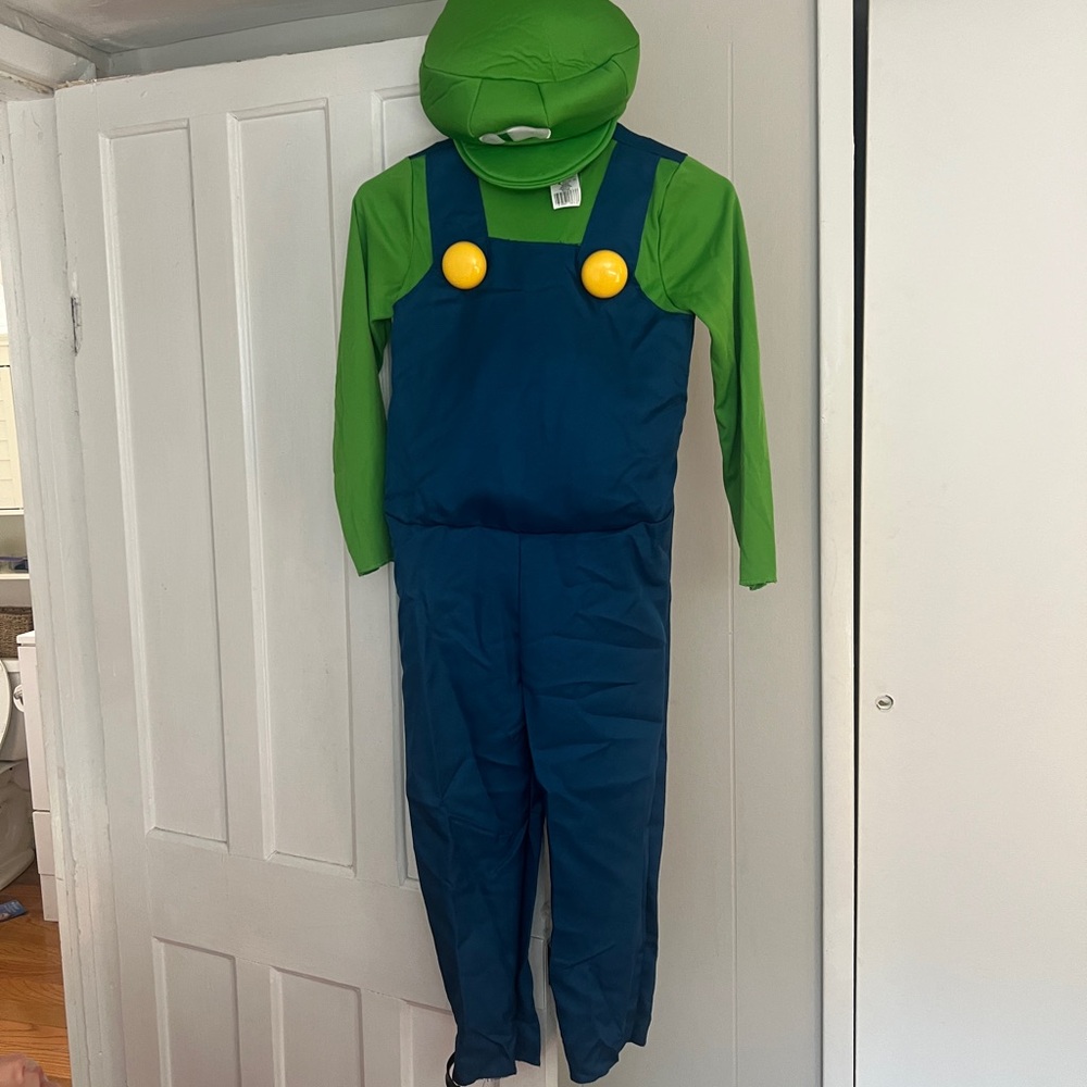 Luigi Costume